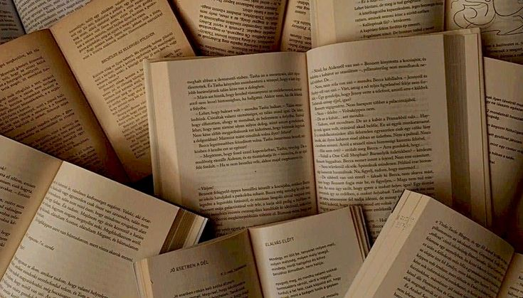 Обмін книжками, зустріч з письменницями і читацьке кафе: що чекає житомирян на “Книжковій площі” у неділю
